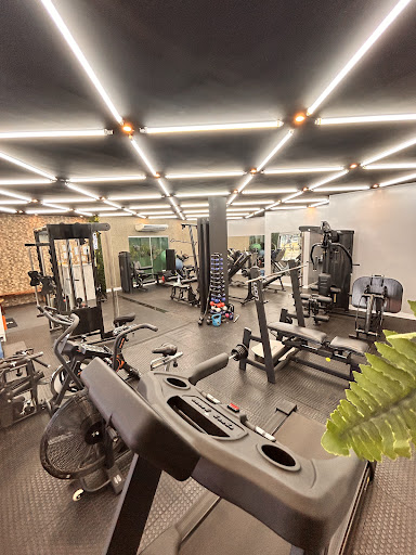 Suanne Gomes Personal Studio - Musculação
