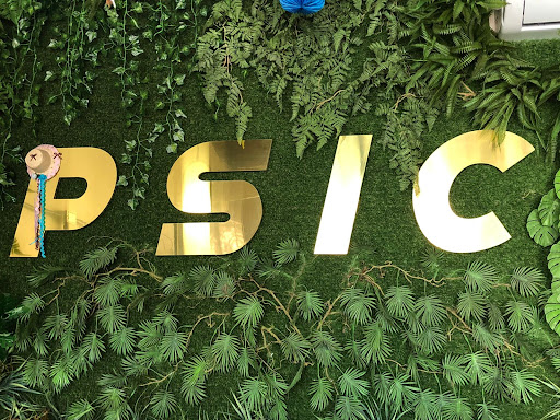 Psic Clínica Psicológica